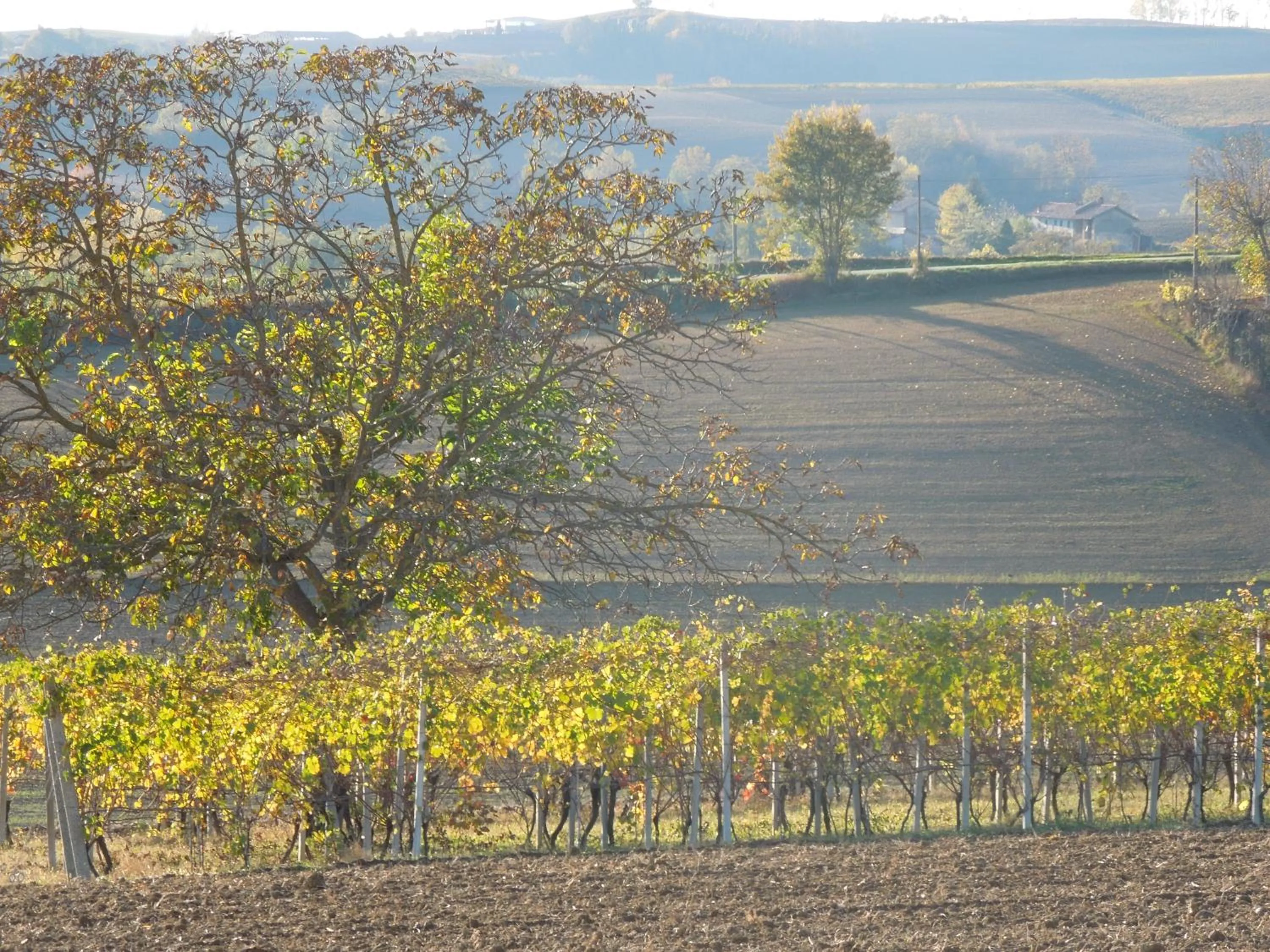View (from property/room) in Casa Rovelli