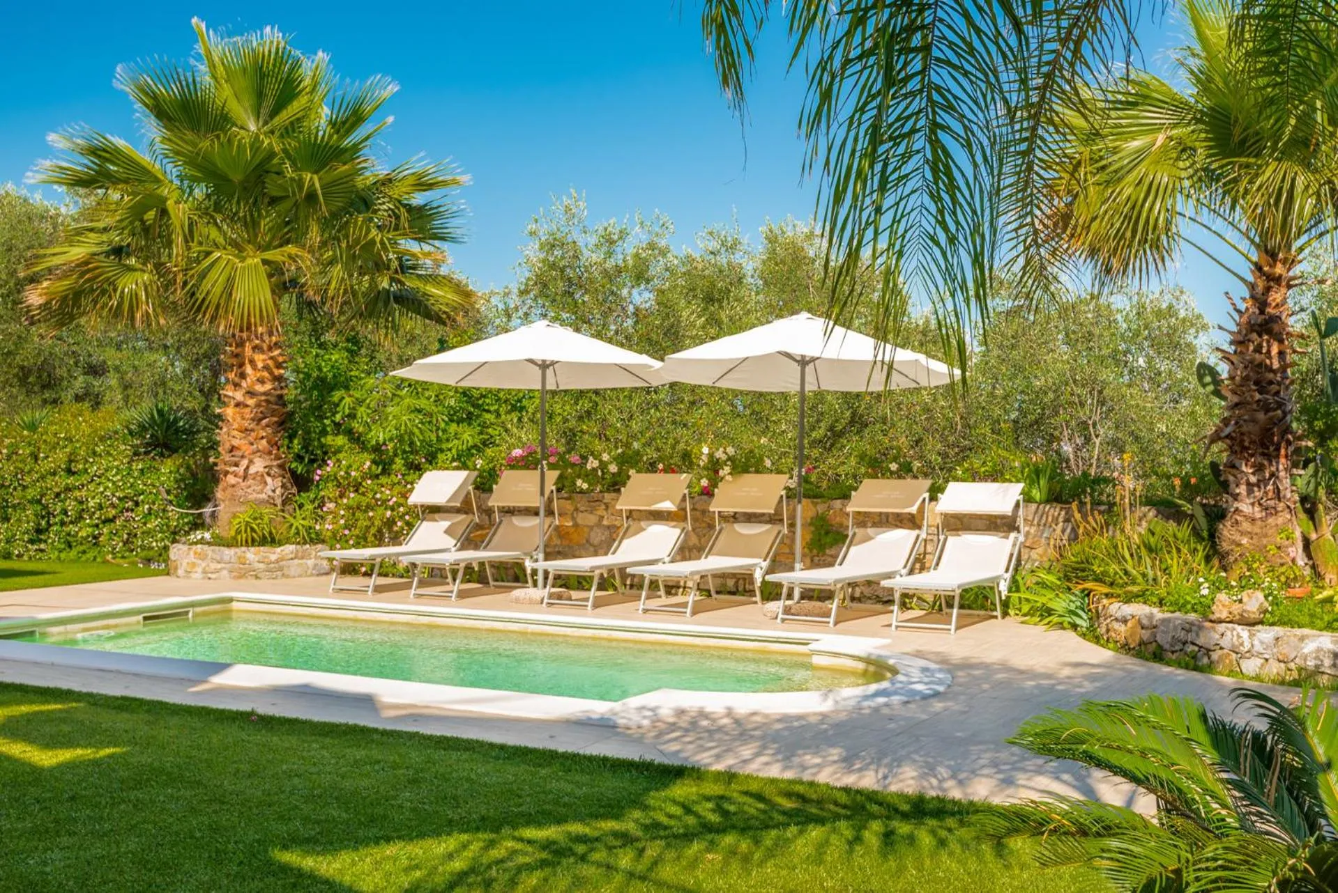 Swimming pool in Dreams Guest House