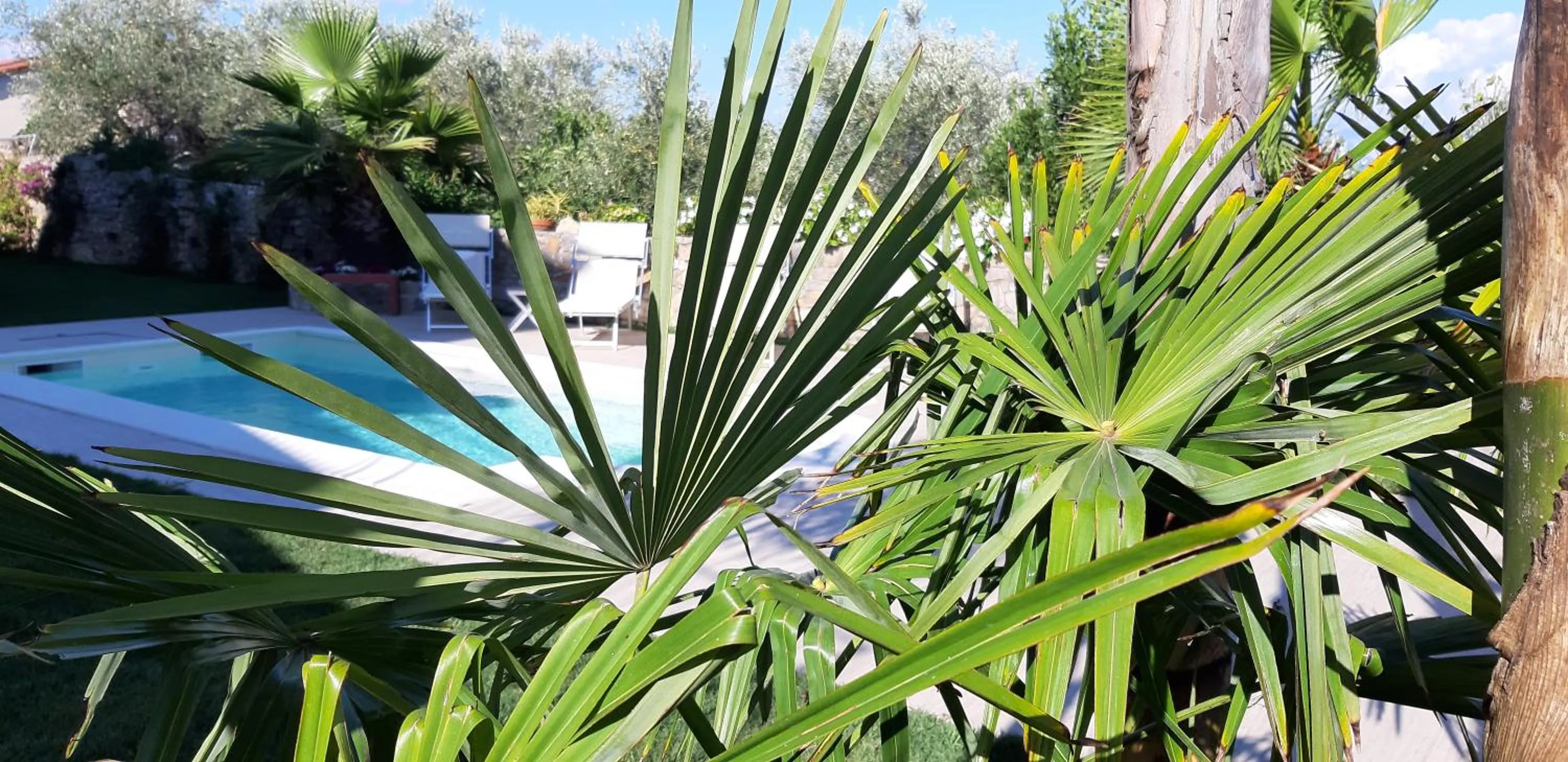 Pool view in Dreams Guest House