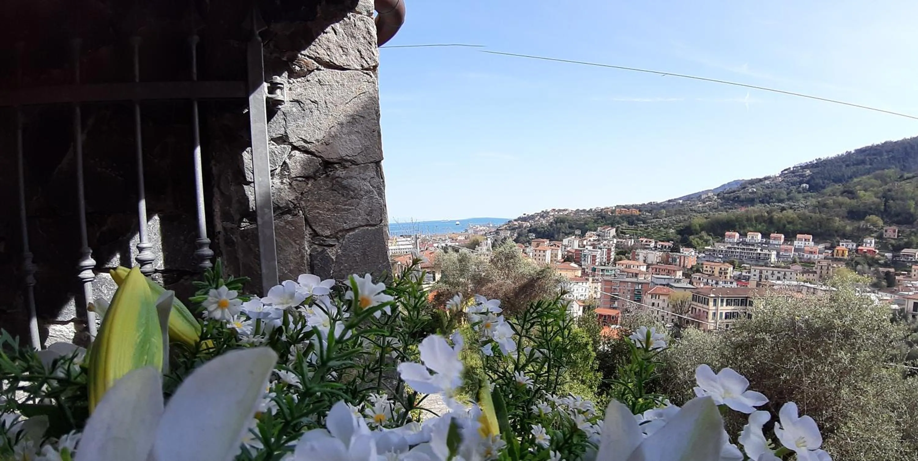 Patio in Dreams Guest House