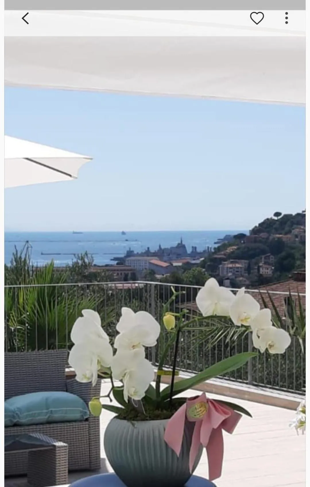 Balcony/Terrace in Dreams Guest House