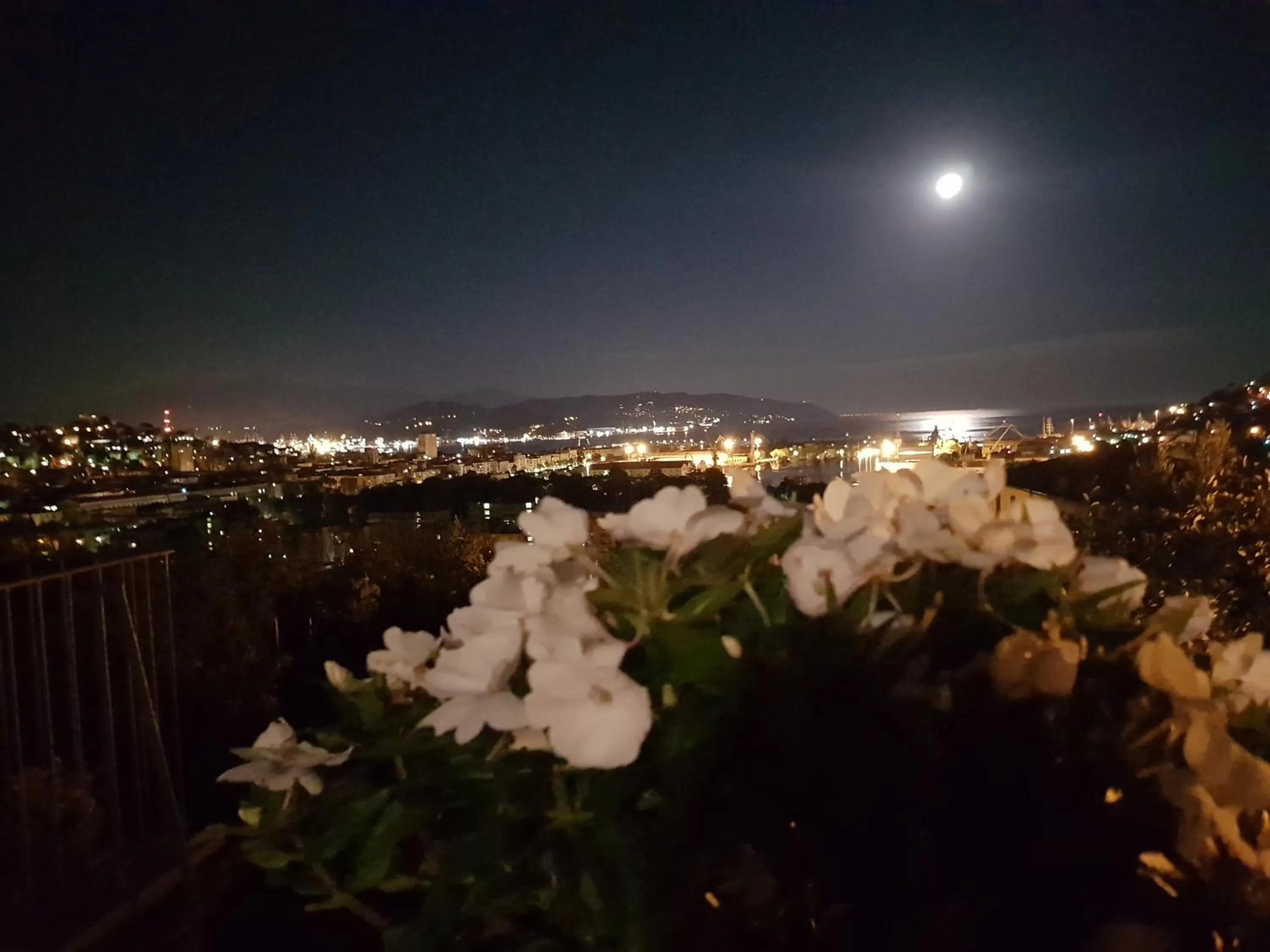 Balcony/Terrace in Dreams Guest House