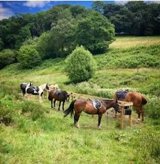 Horse-riding in Tarr Farm Inn