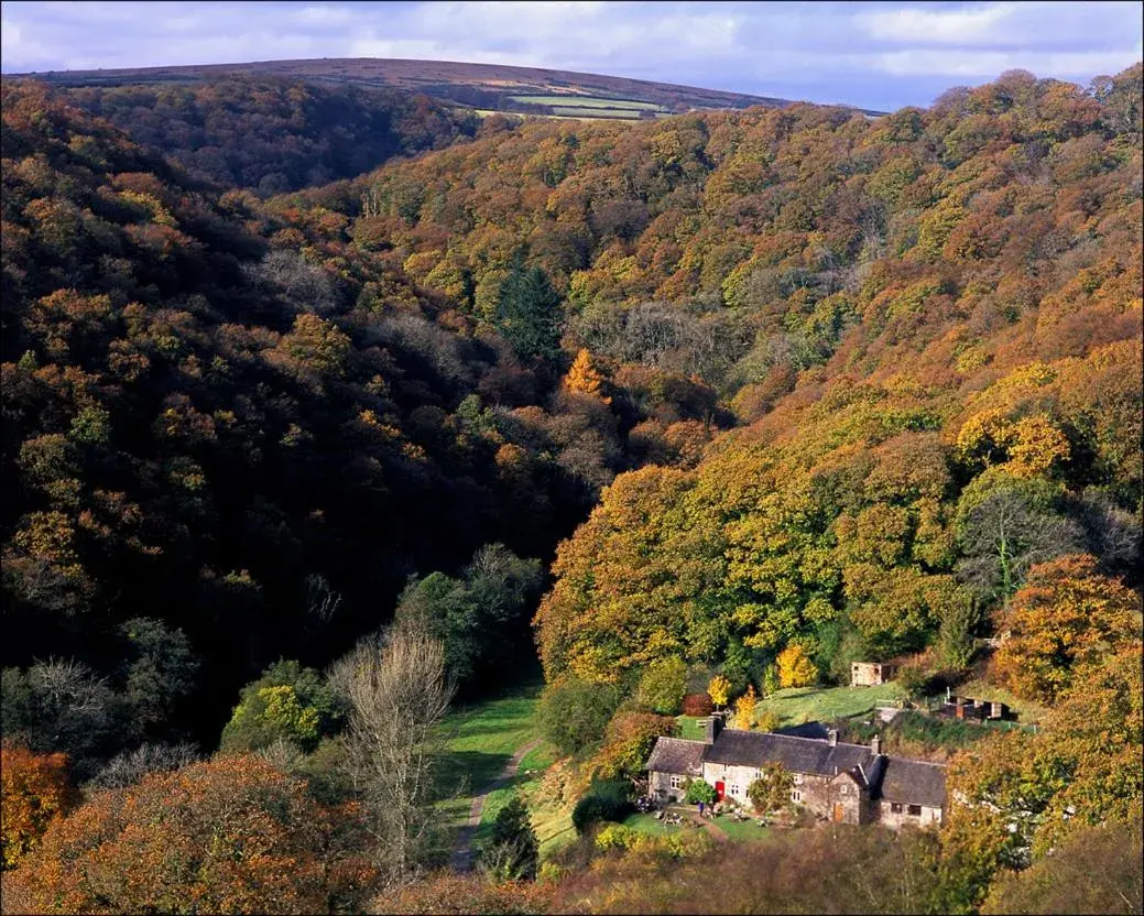 Natural landscape, Bird's-eye View in Tarr Farm Inn