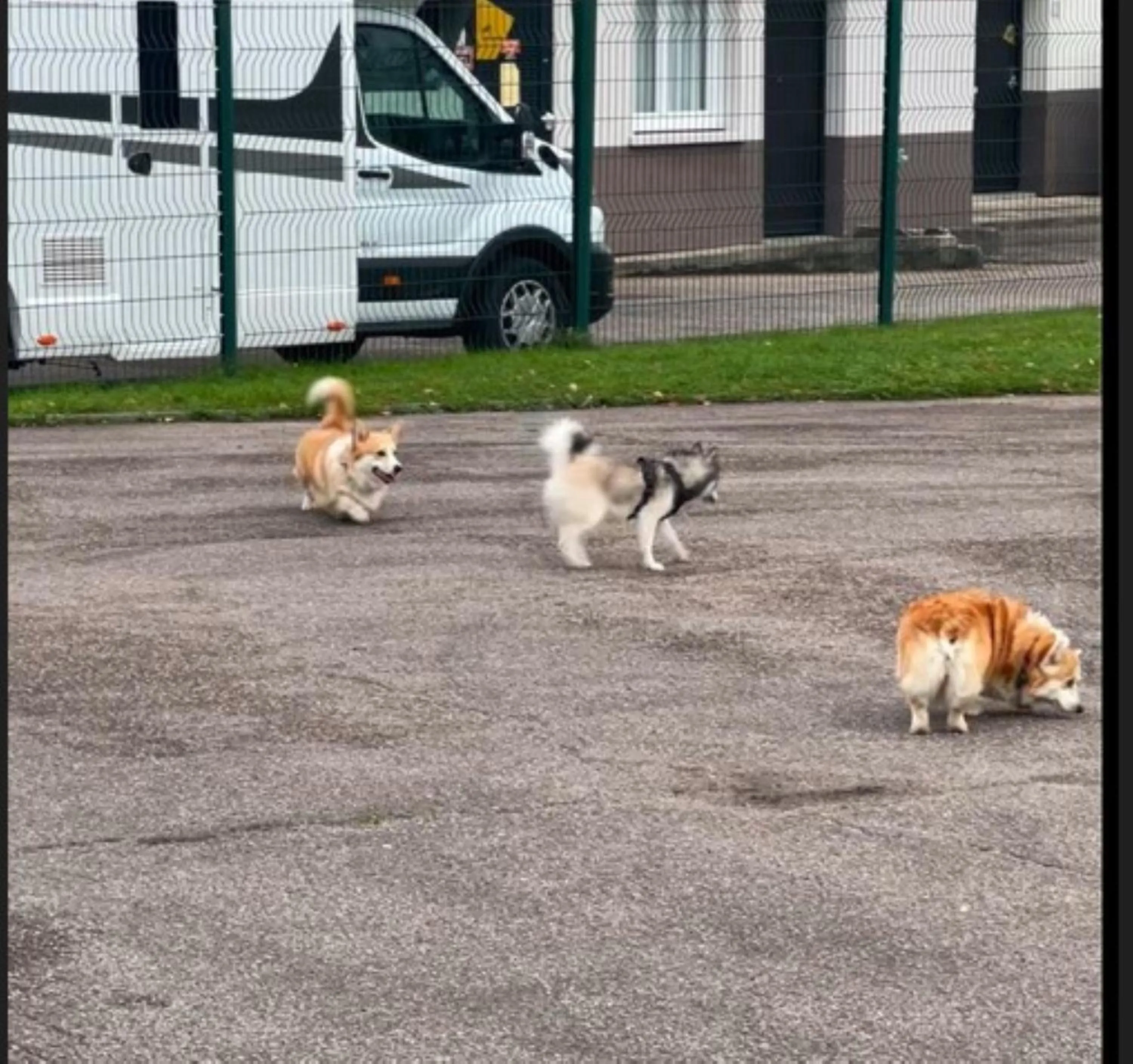 pet friendly in Kyriad Rouen Sud - Oissel