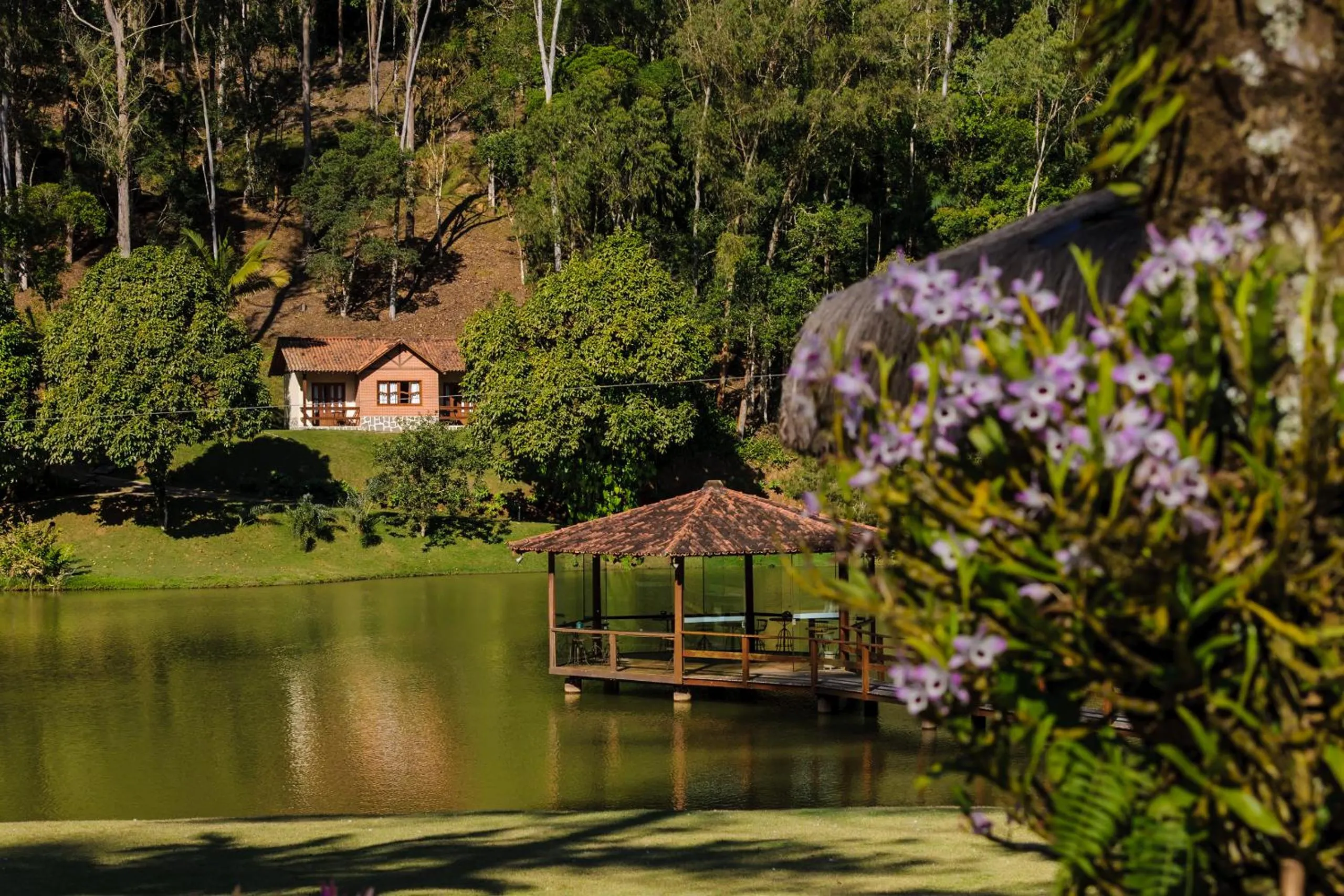 Natural landscape in Sítio dos Lagos