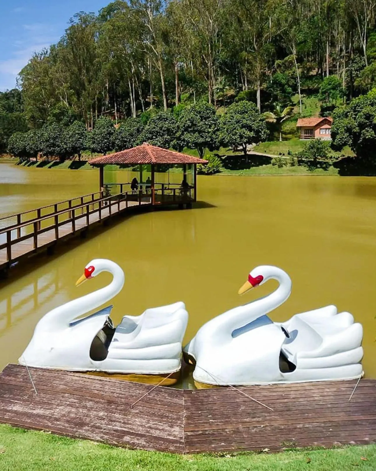 Activities in Sítio dos Lagos