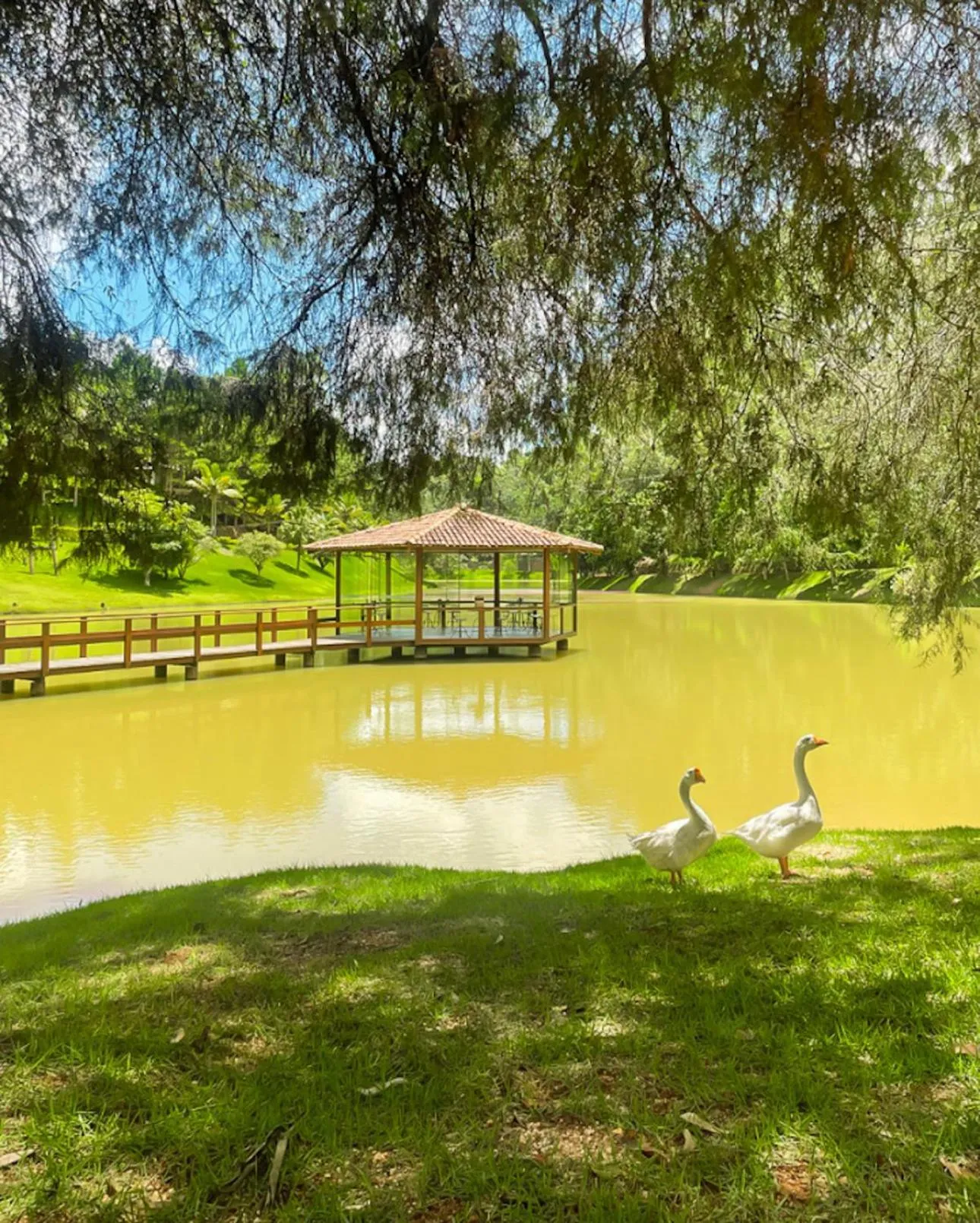 Natural landscape in Sítio dos Lagos