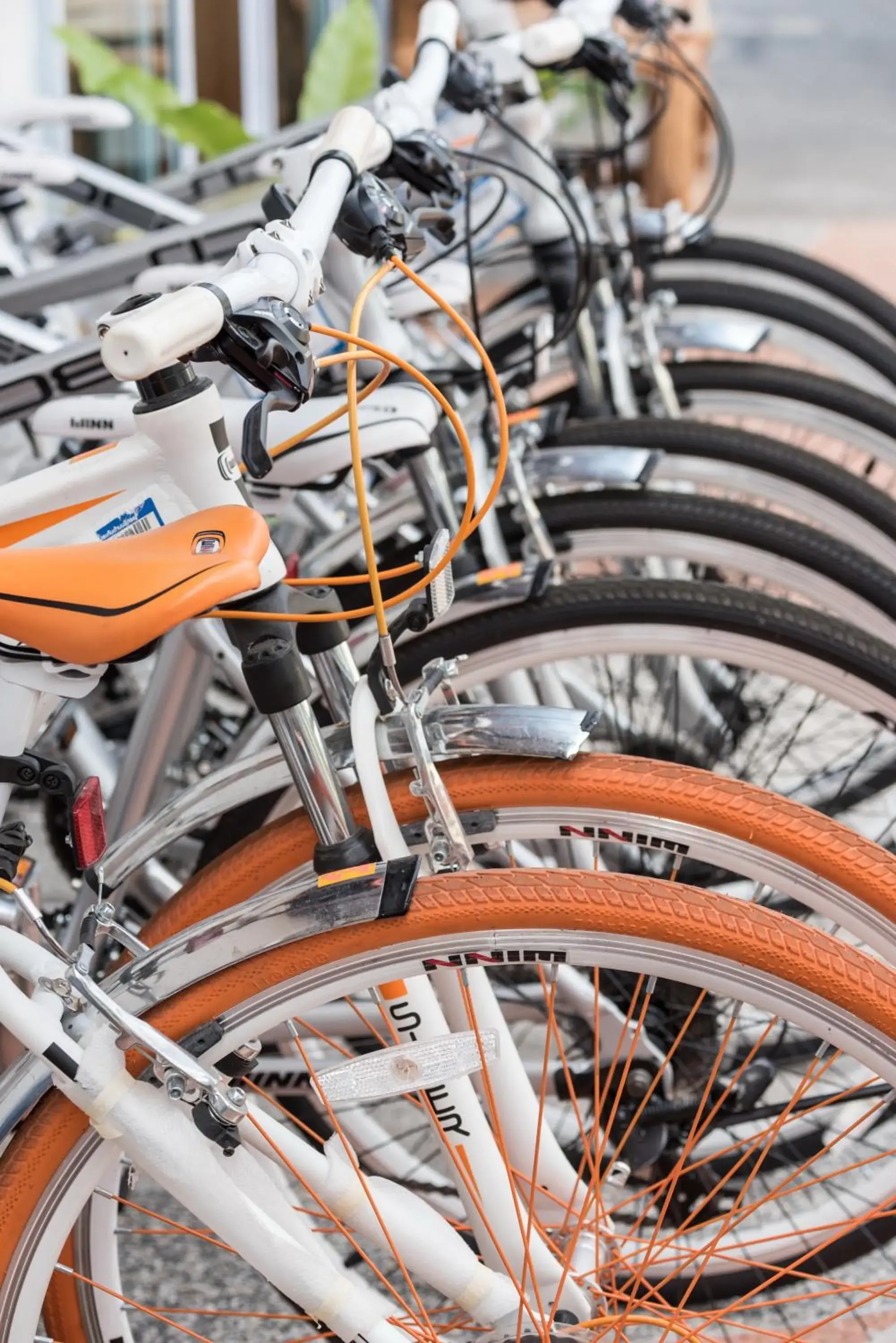 Activities in Doi Inthanon View Resort Activities in Doi Inthanon View Resort