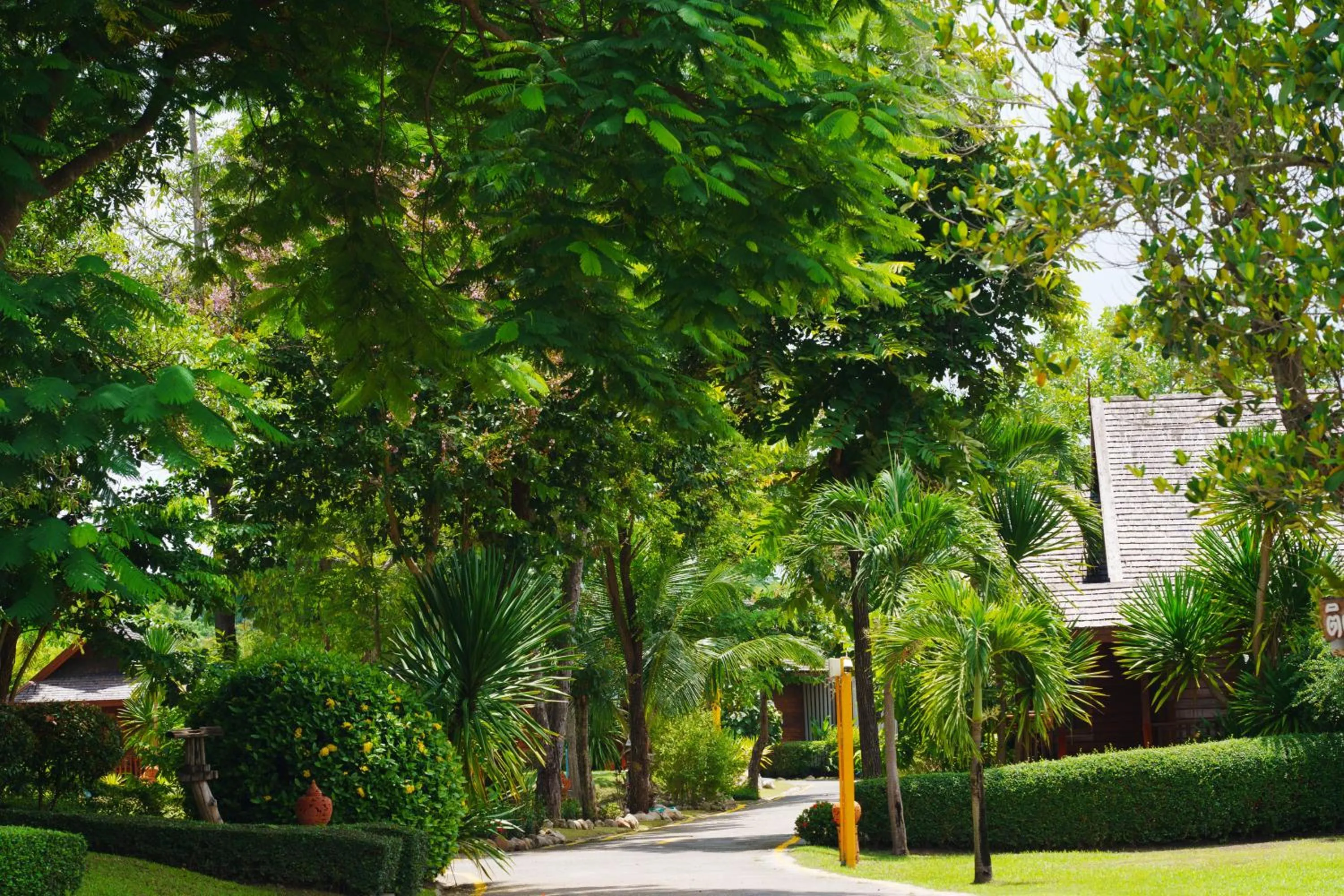 Property building in Doi Inthanon View Resort