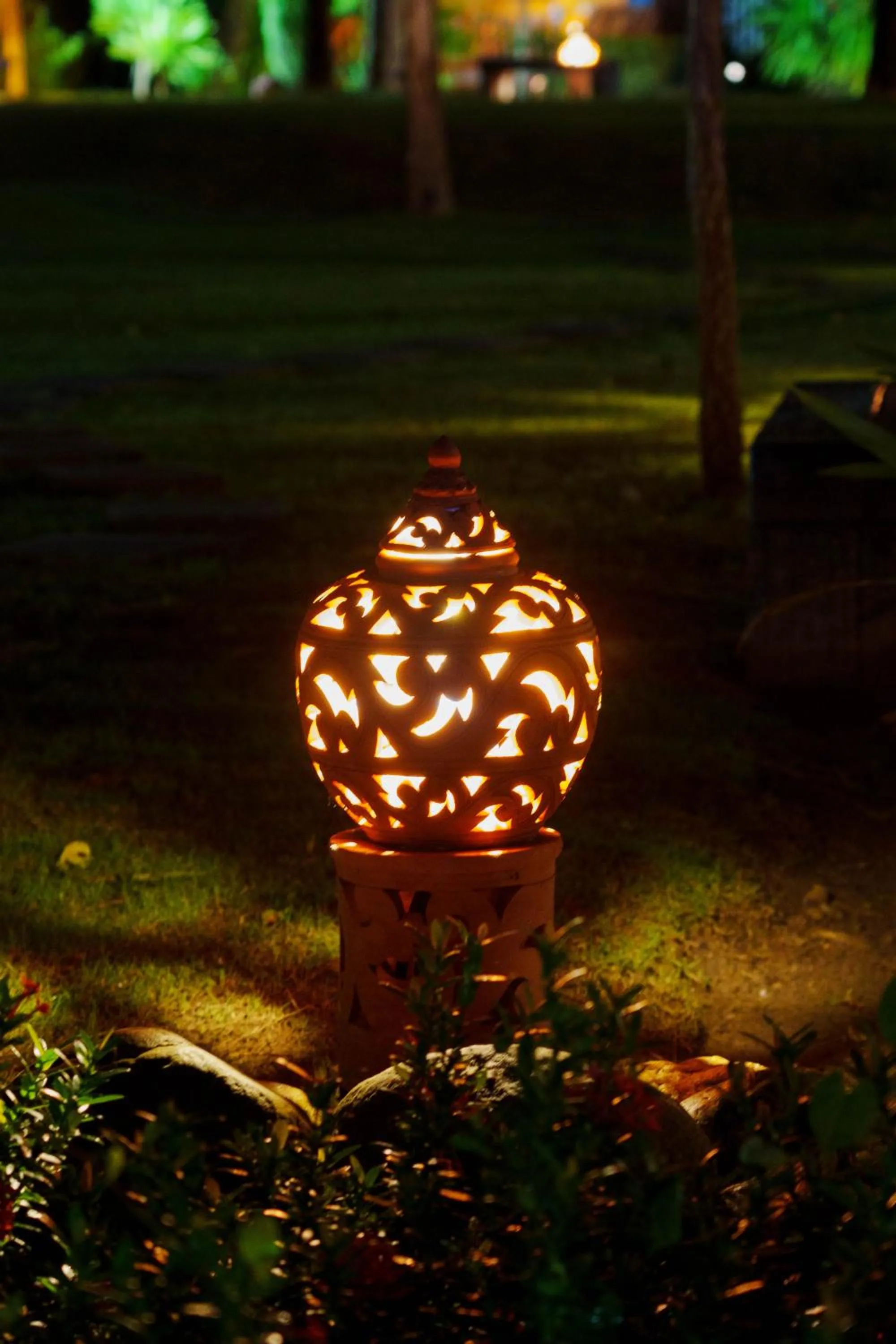 Garden in Doi Inthanon View Resort