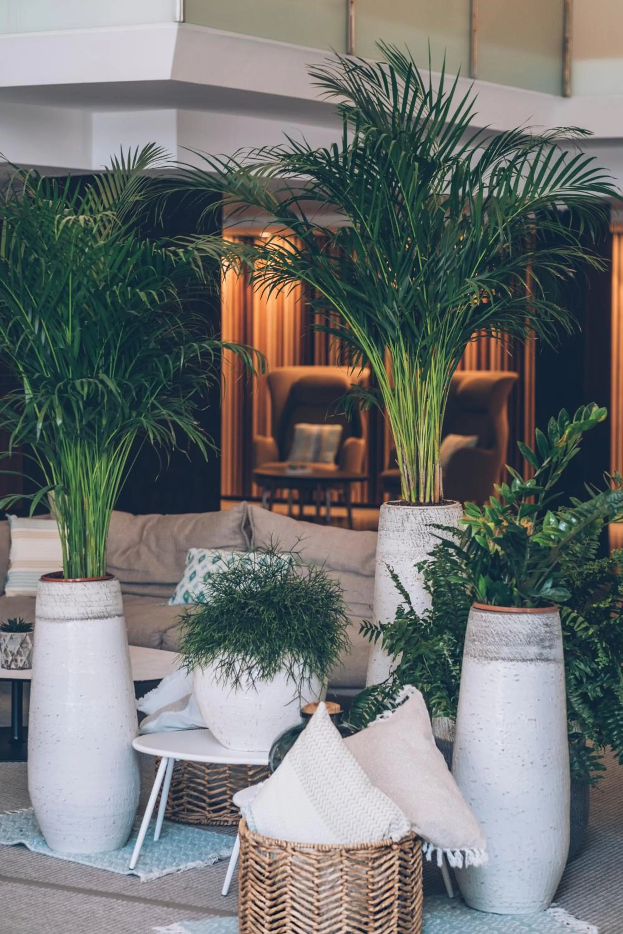 Patio in Iberostar Selection Playa de Muro Village