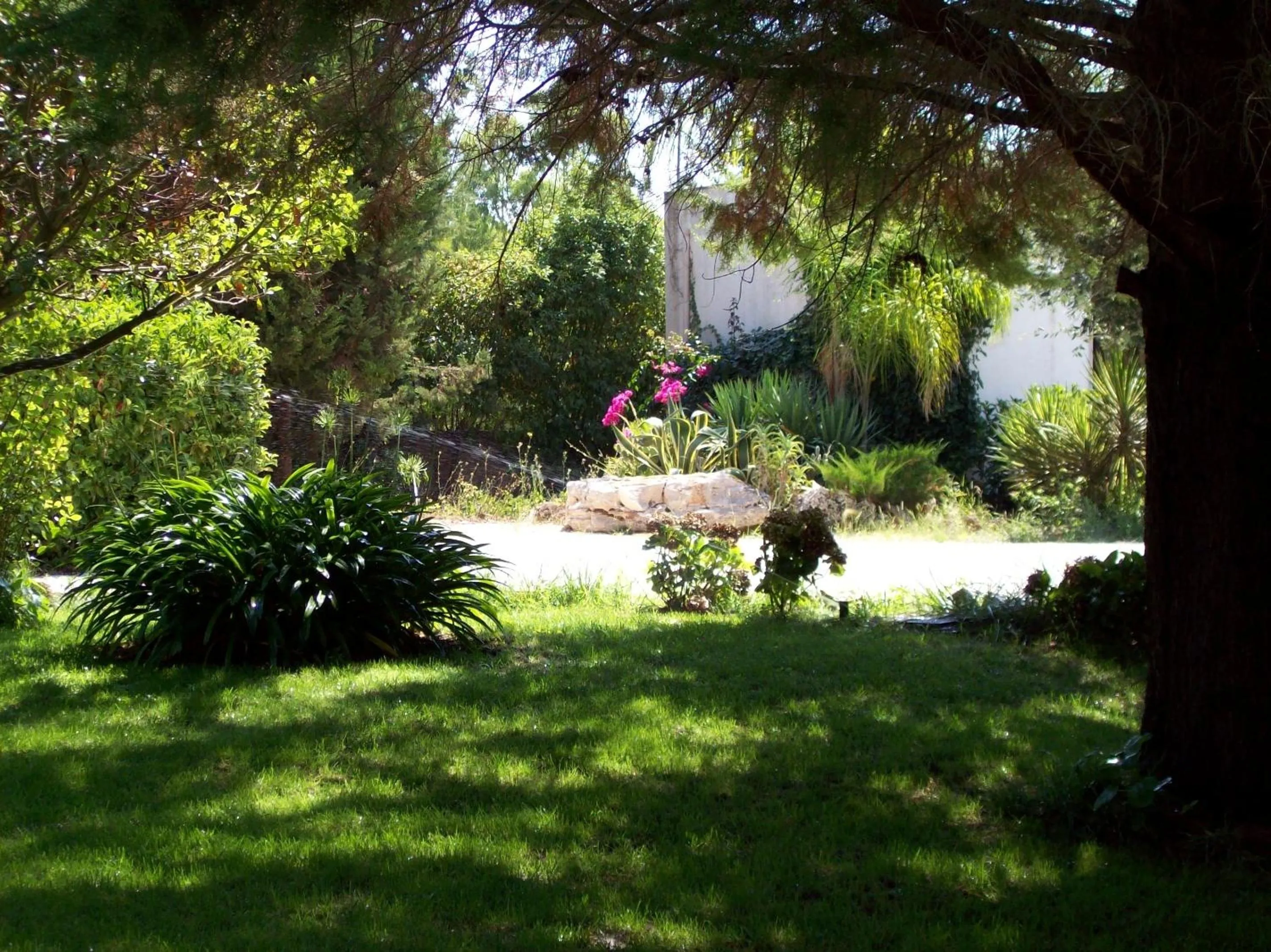 Garden in Casina San Martino