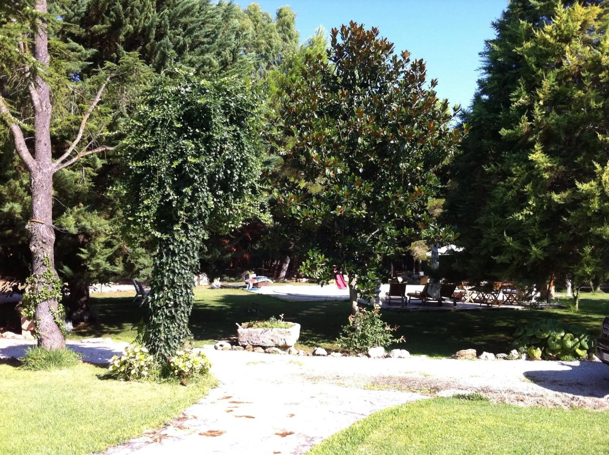 Garden in Casina San Martino