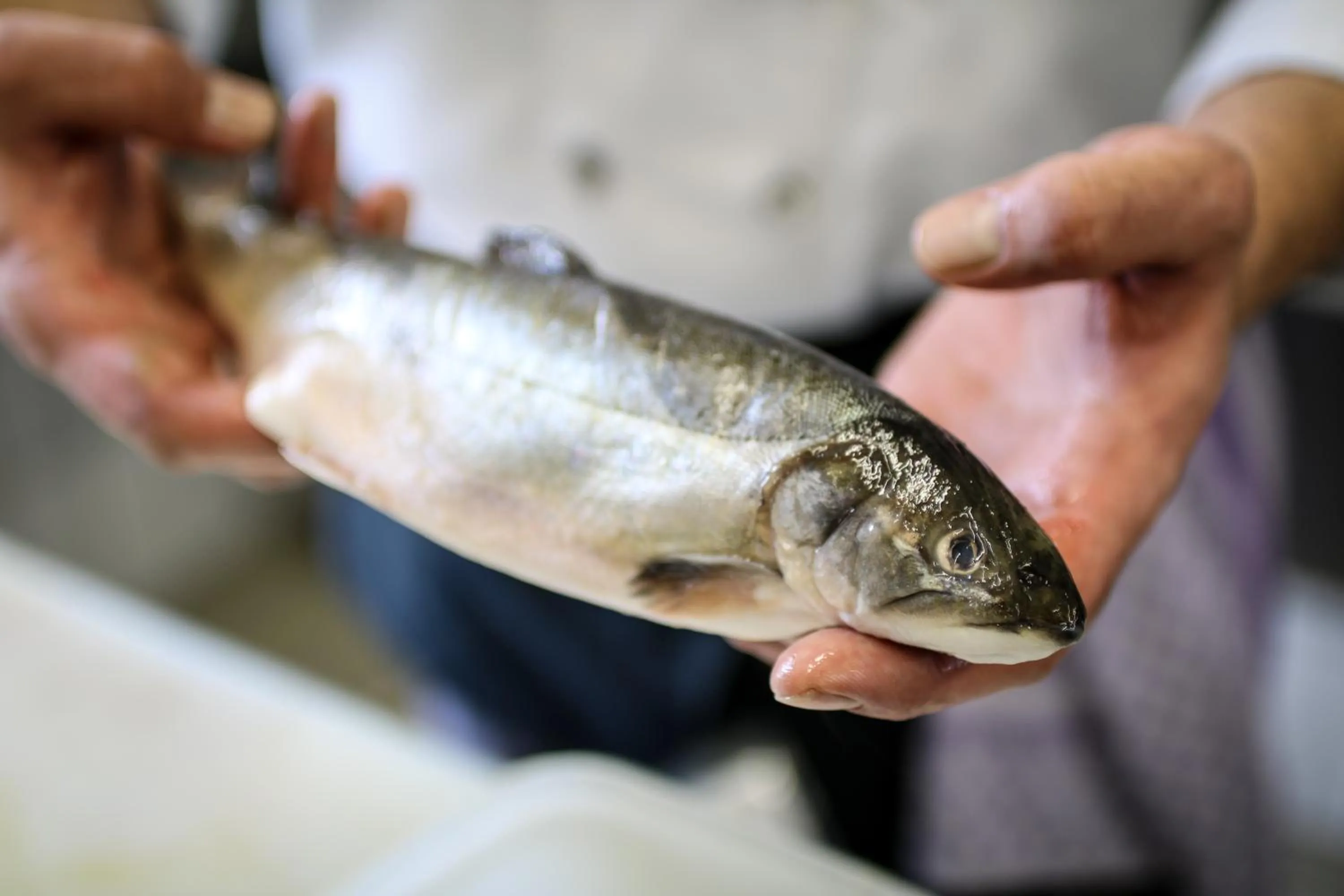 Restaurant/places to eat in Boutique Hotel zur Post