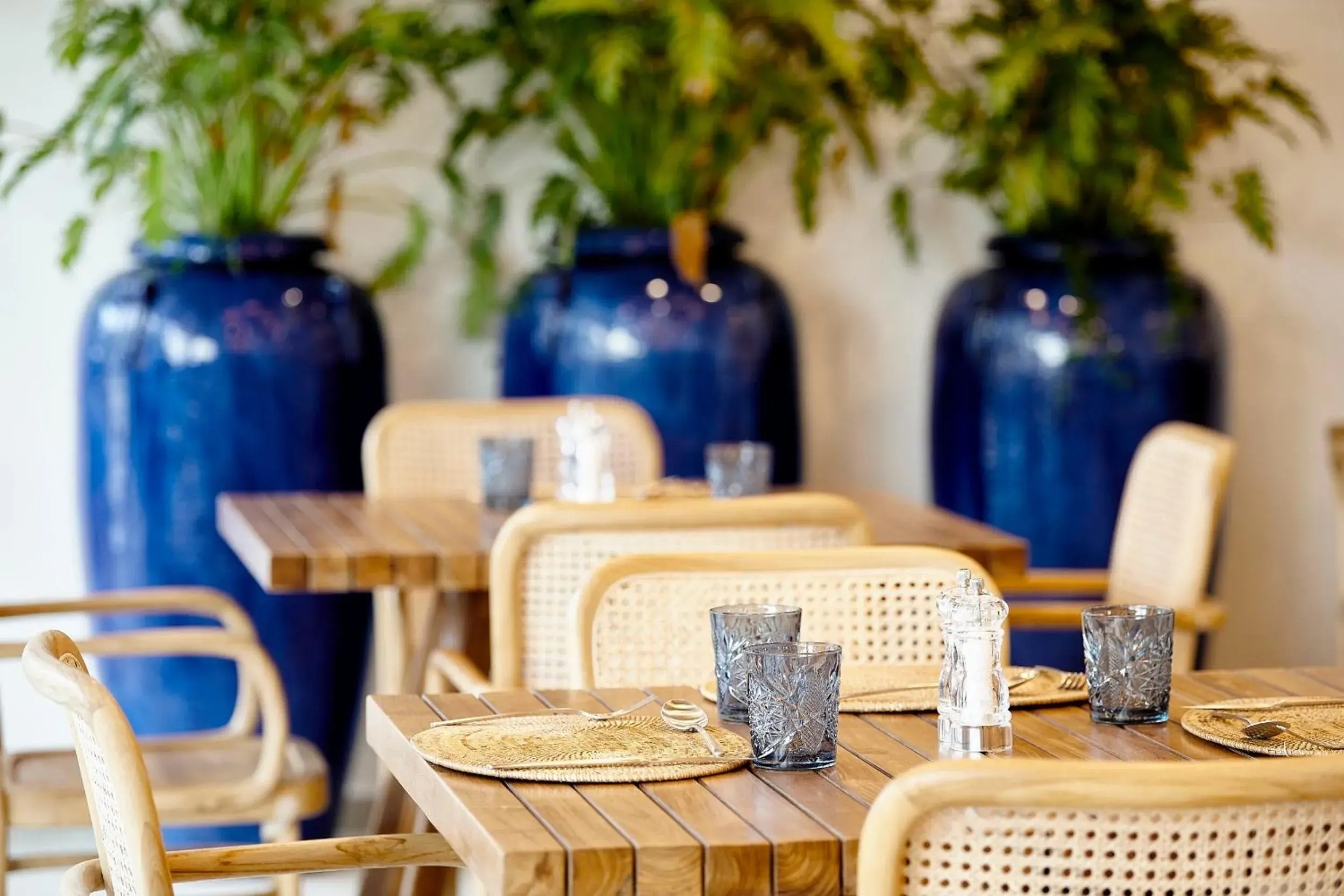 Restaurant/places to eat in Iberostar Selection Albufera Park All Inclusive Restaurant/places to eat in Iberostar Selection Albufera Park All Inclusive