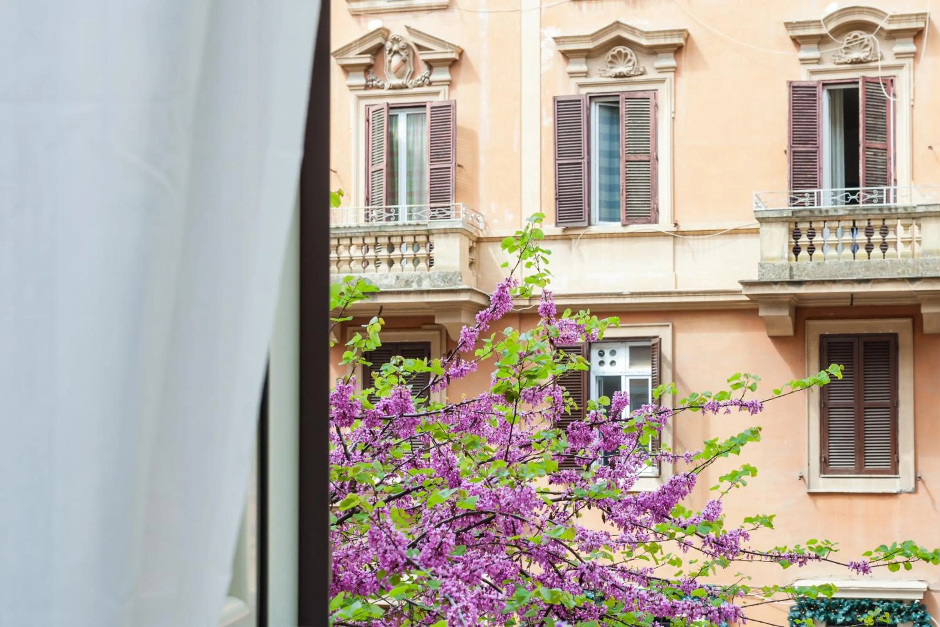 City view in B&B Vatican's Keys