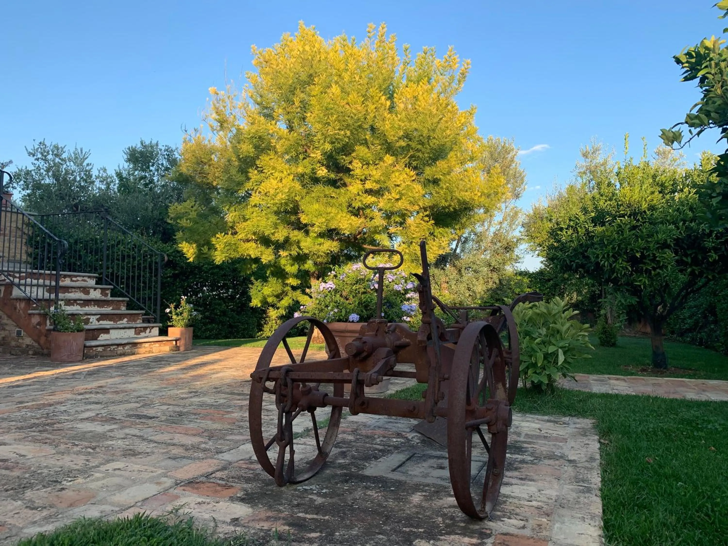 Appartamento Mimosa
