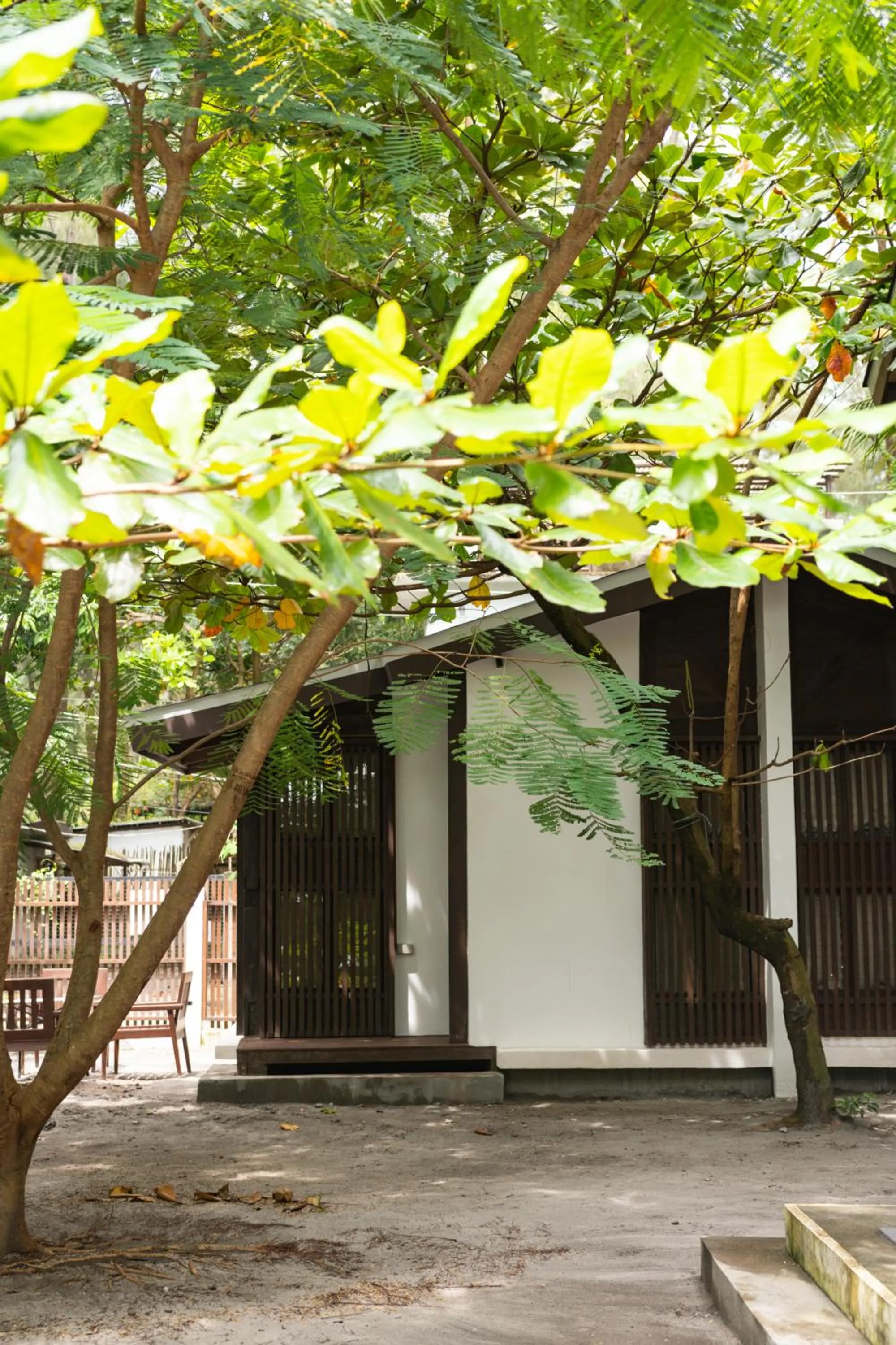 Garden in Aluntala Hostel