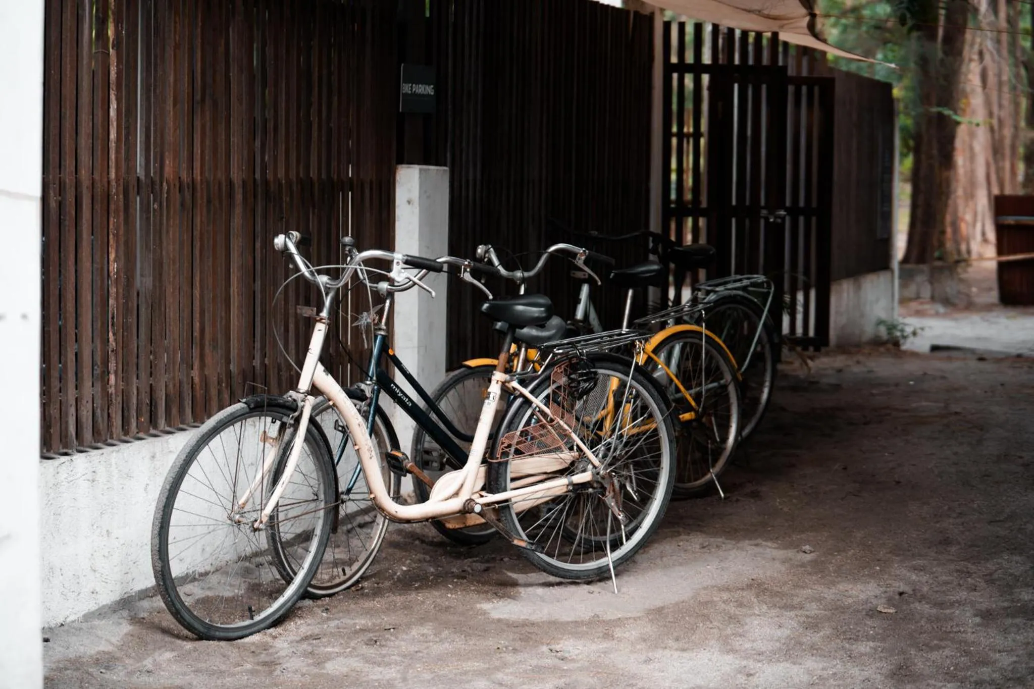 Cycling in Aluntala Hostel