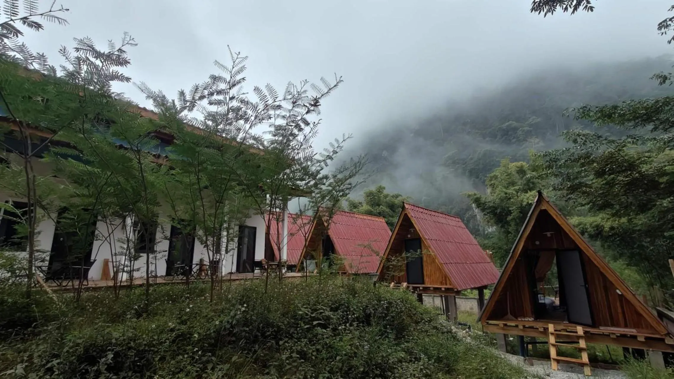 Property building in Mimosa Backpackers Hostel