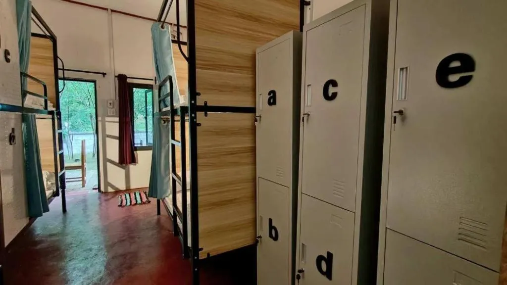 Photo of the whole room in Mimosa Backpackers Hostel