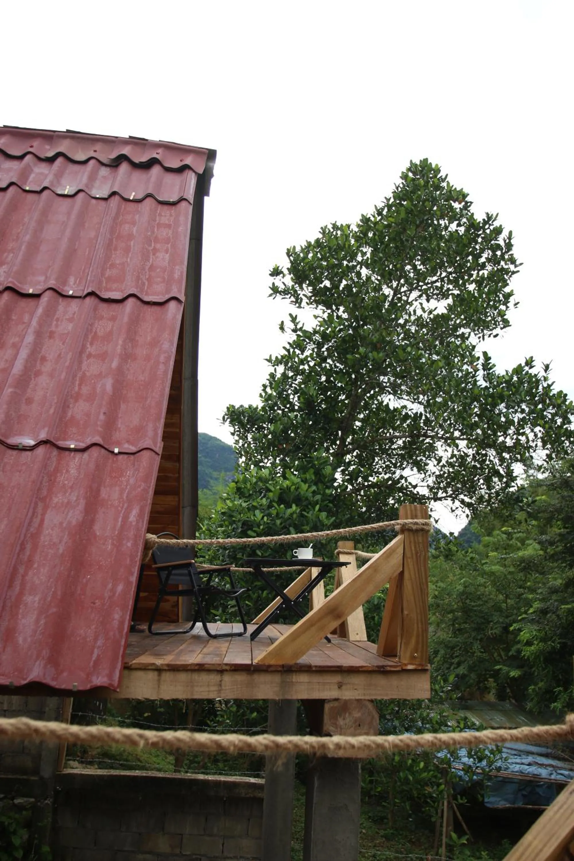 Property building in Mimosa Backpackers Hostel