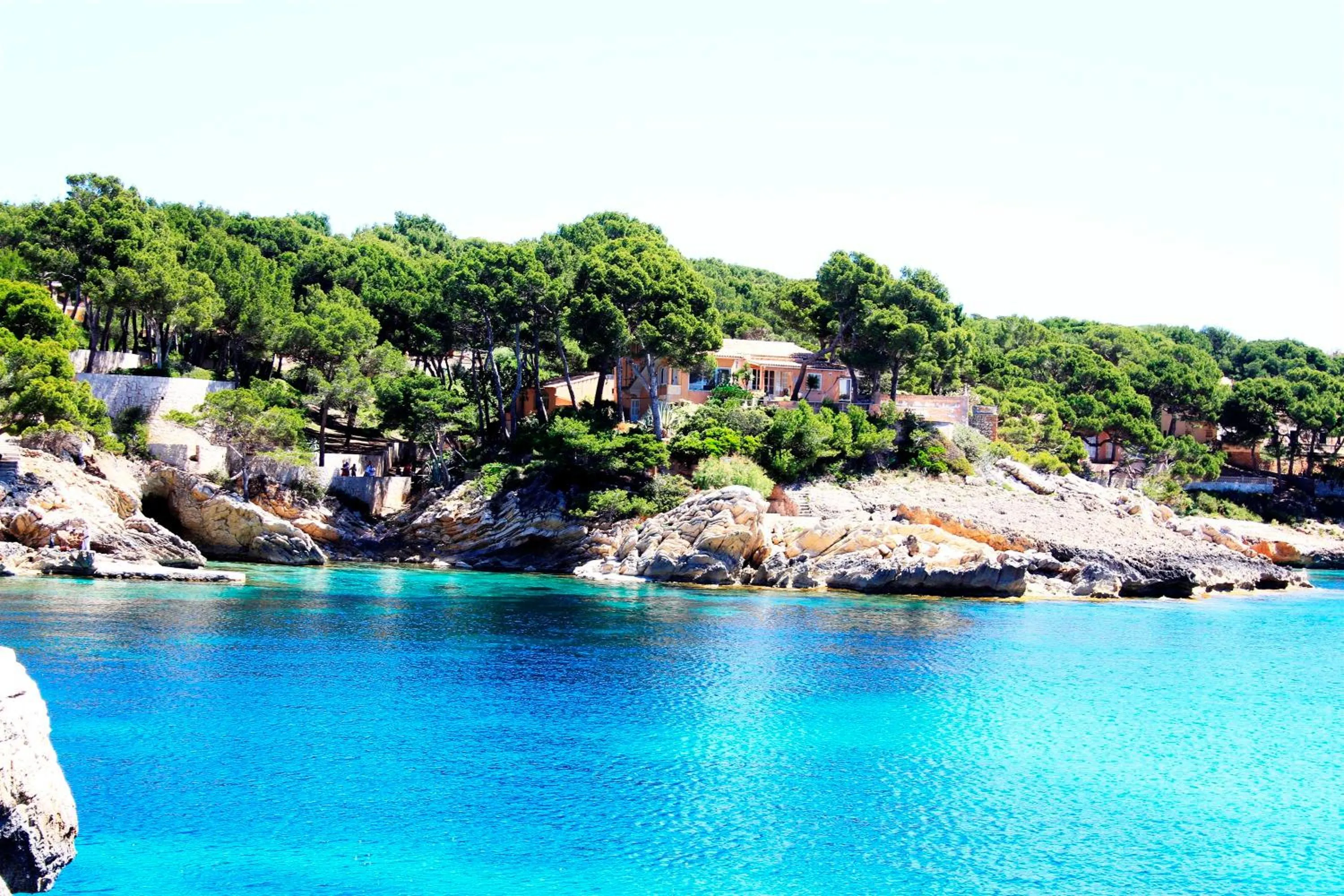 Area and facilities in Hotel Bella Playa & Spa