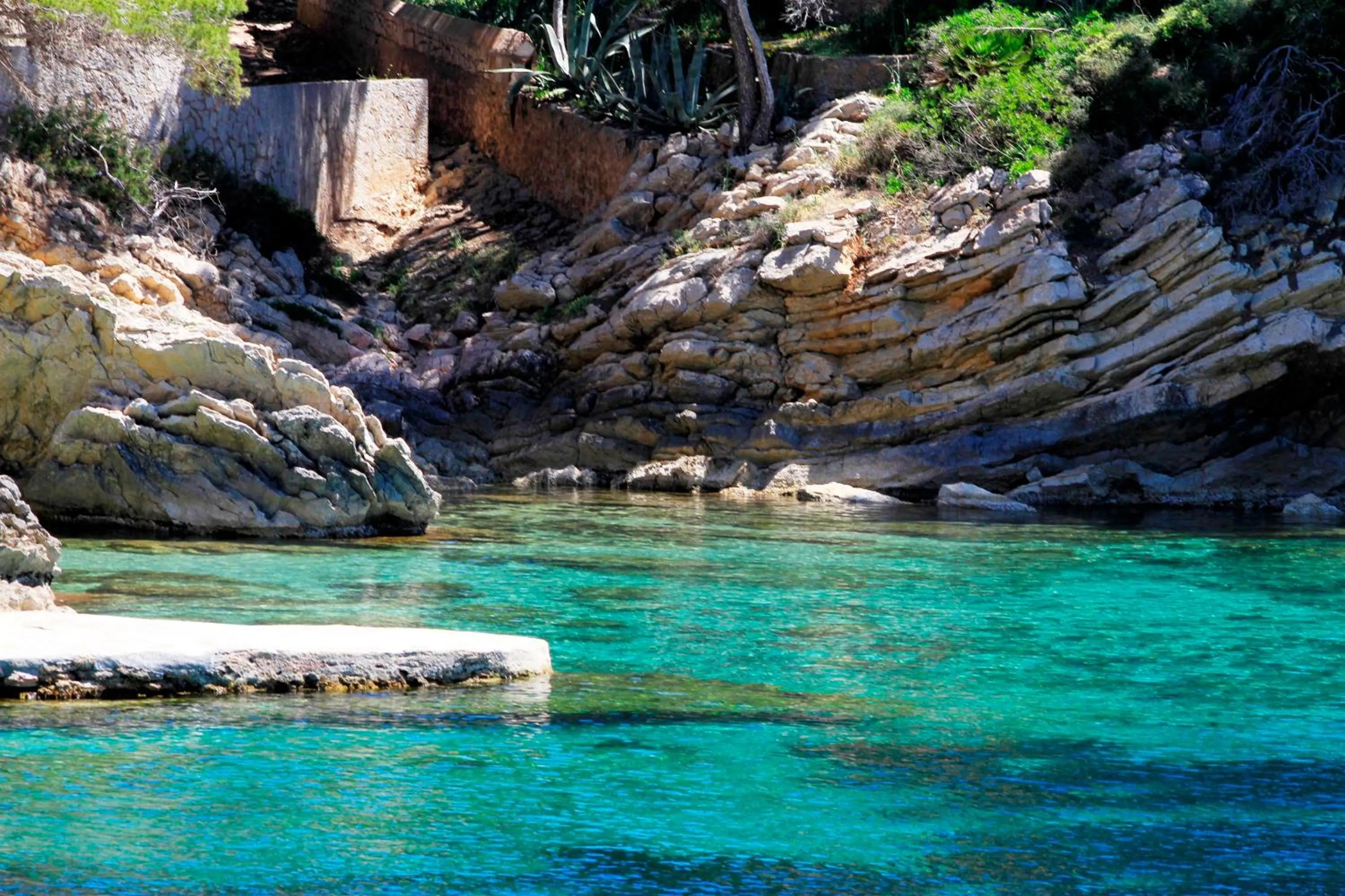 Area and facilities in Hotel Bella Playa & Spa