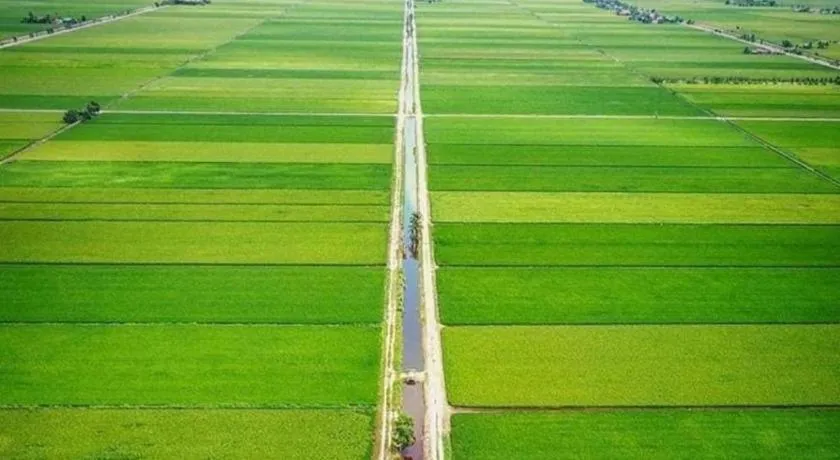 Sea Lion Firefly Concept Hotel