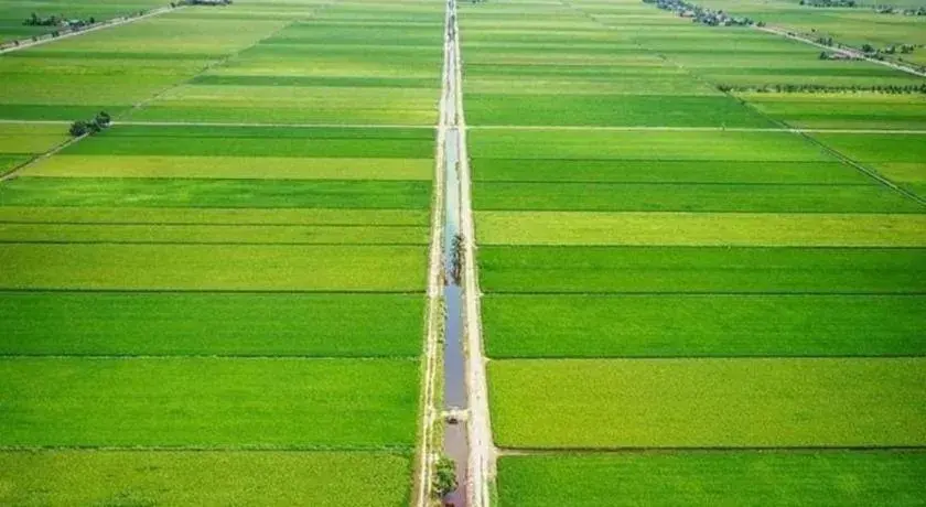 Sea Lion Firefly Concept Hotel Sea Lion Firefly Concept Hotel