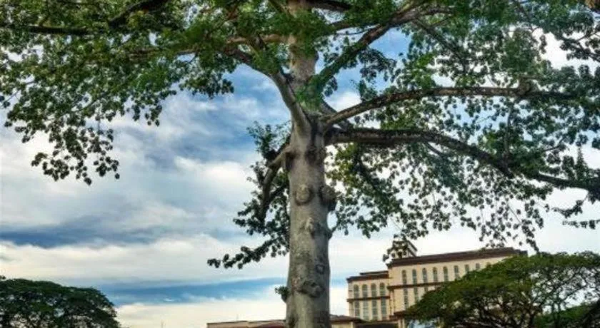 Place2Stay Business Hotel @ Metrocity