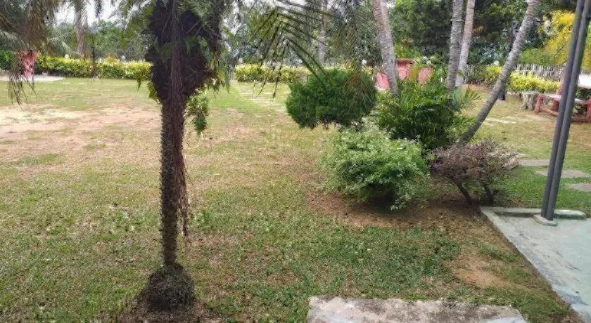 Mynubeholidays - NTCPD