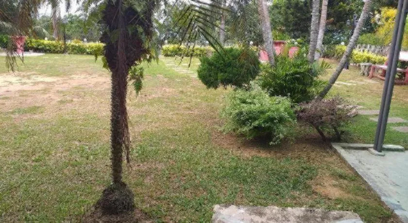 Mynubeholidays - NTCPD