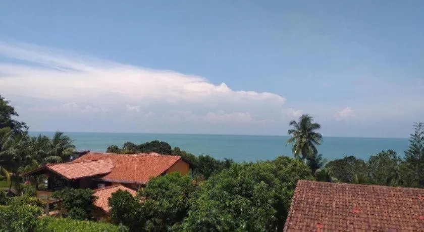 Mynubeholidays - NTCPD