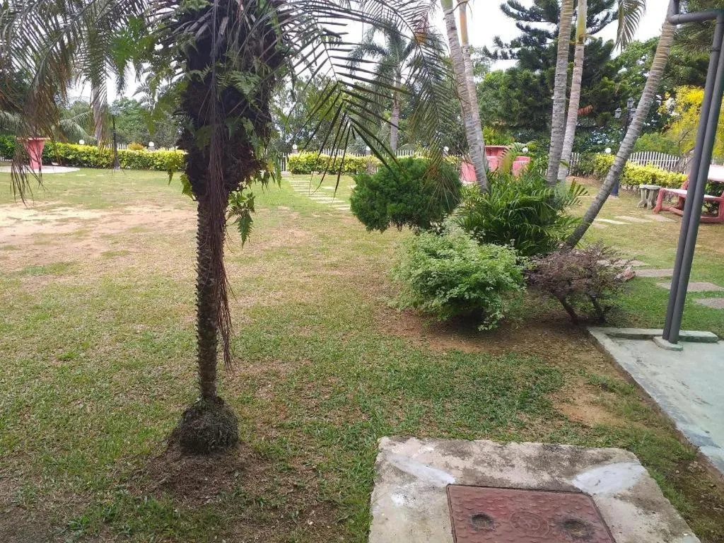 Mynubeholidays - NTCPD