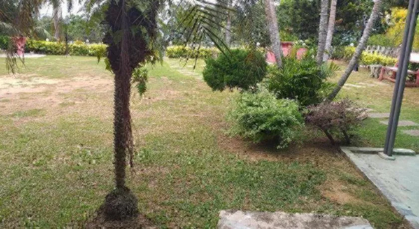 Mynubeholidays - NTCPD