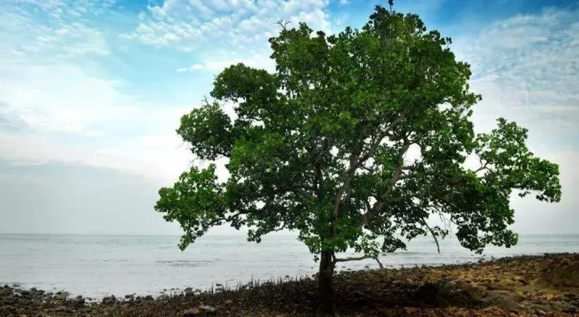 Mynubeholidays - NTCPD Mynubeholidays - NTCPD