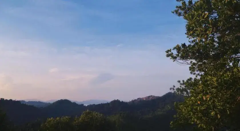 Sri Manja Boutique Hotel Sri Manja Boutique Hotel