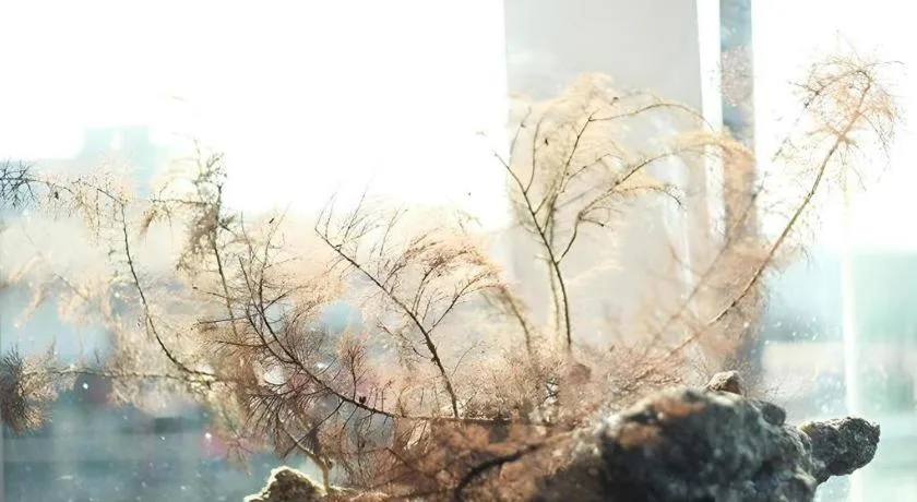 The Happy 8 Retreat @ Kuala Sepetang