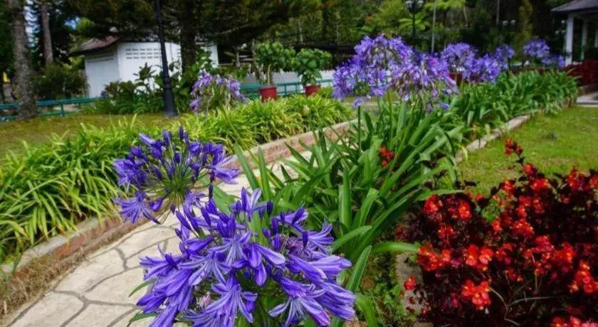 Camlodge Budget Hotel Camlodge Budget Hotel