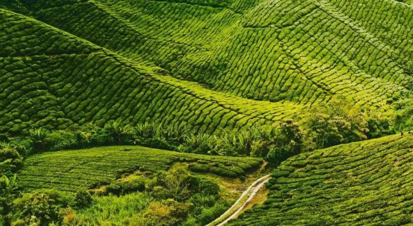 Camlodge Budget Hotel