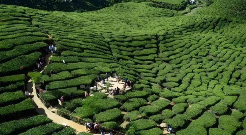 Camlodge Budget Hotel