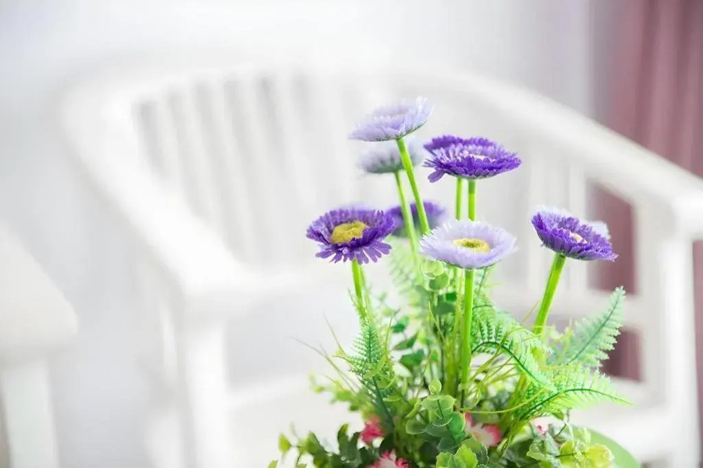 Skyview Hotel Skyview Hotel