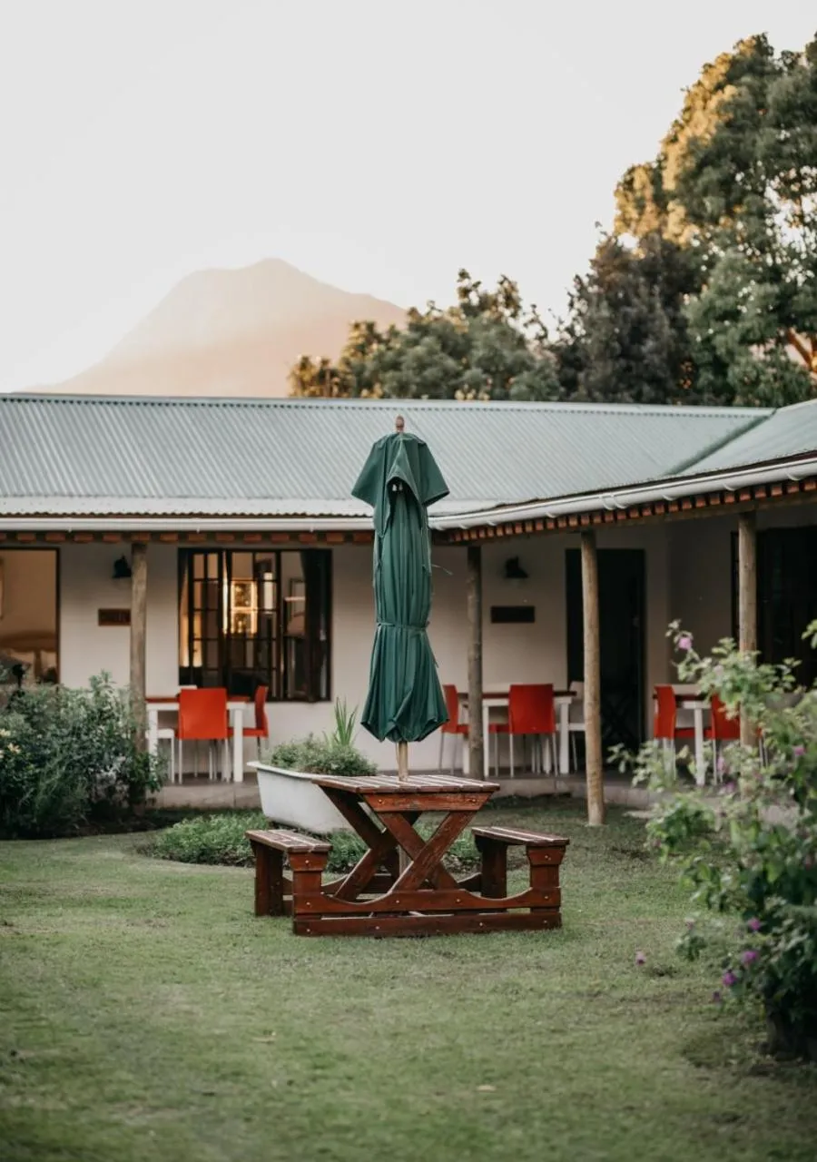 Garden in The Village Lodge