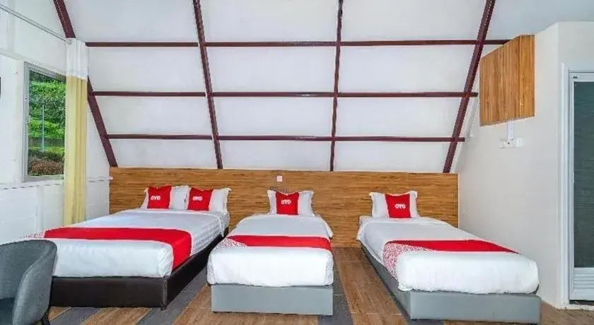 Dreamland Beach Holiday Dreamland Beach Holiday