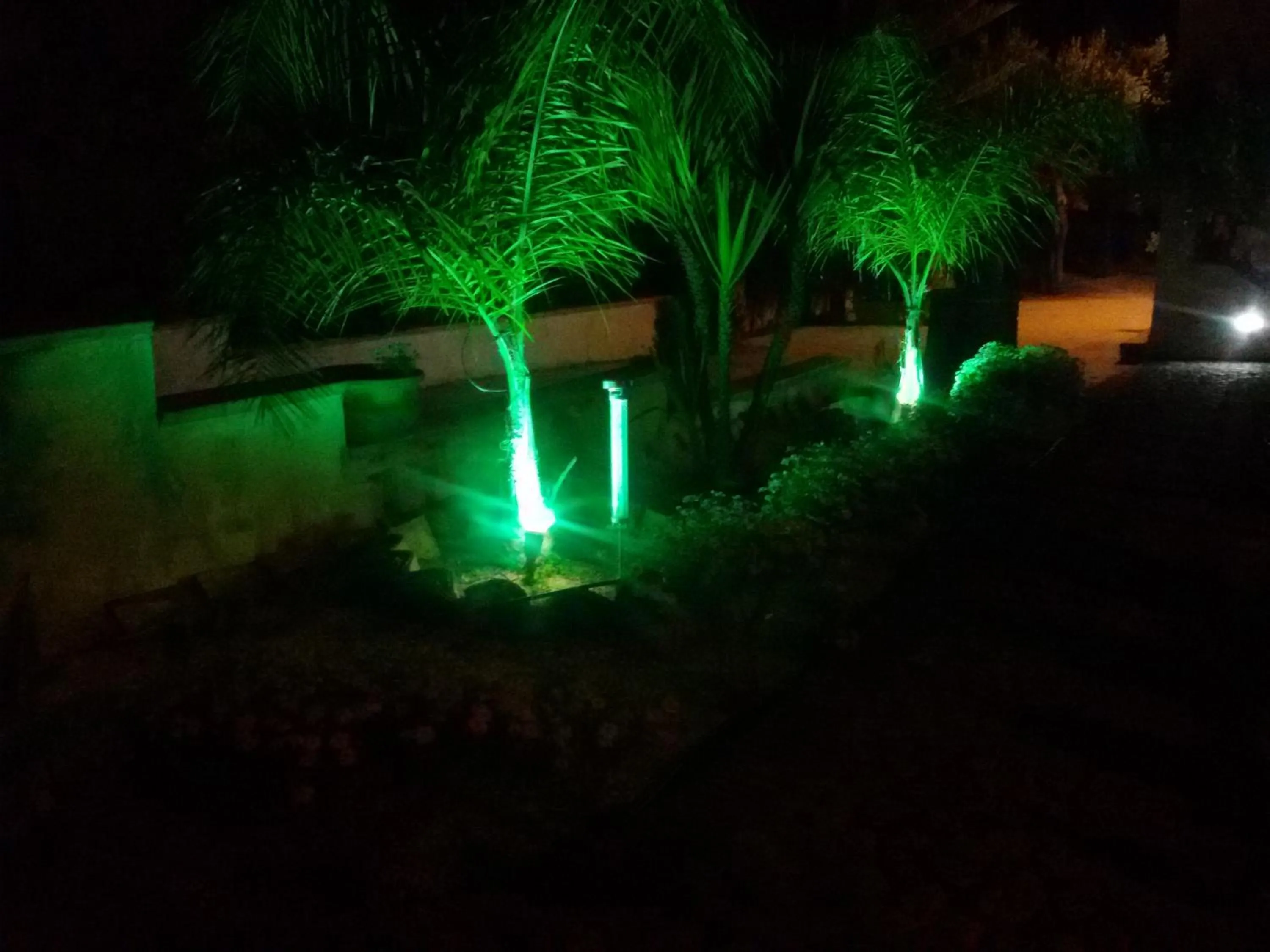 Garden in Casa Nunna