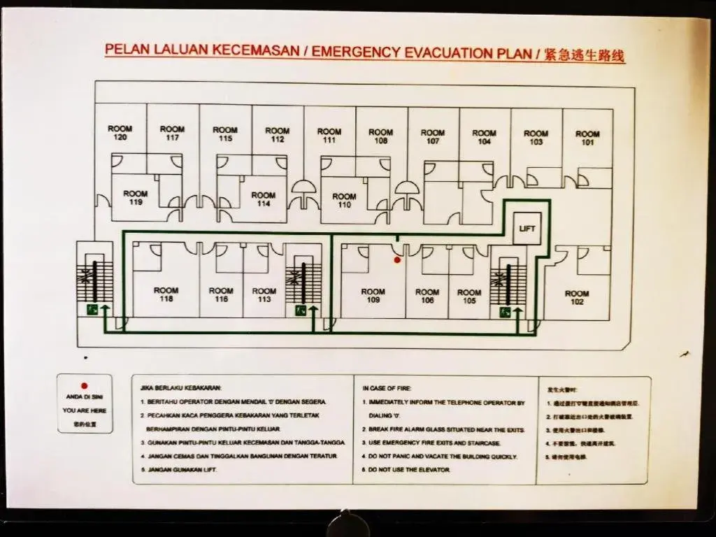 Friendly Hotel Friendly Hotel