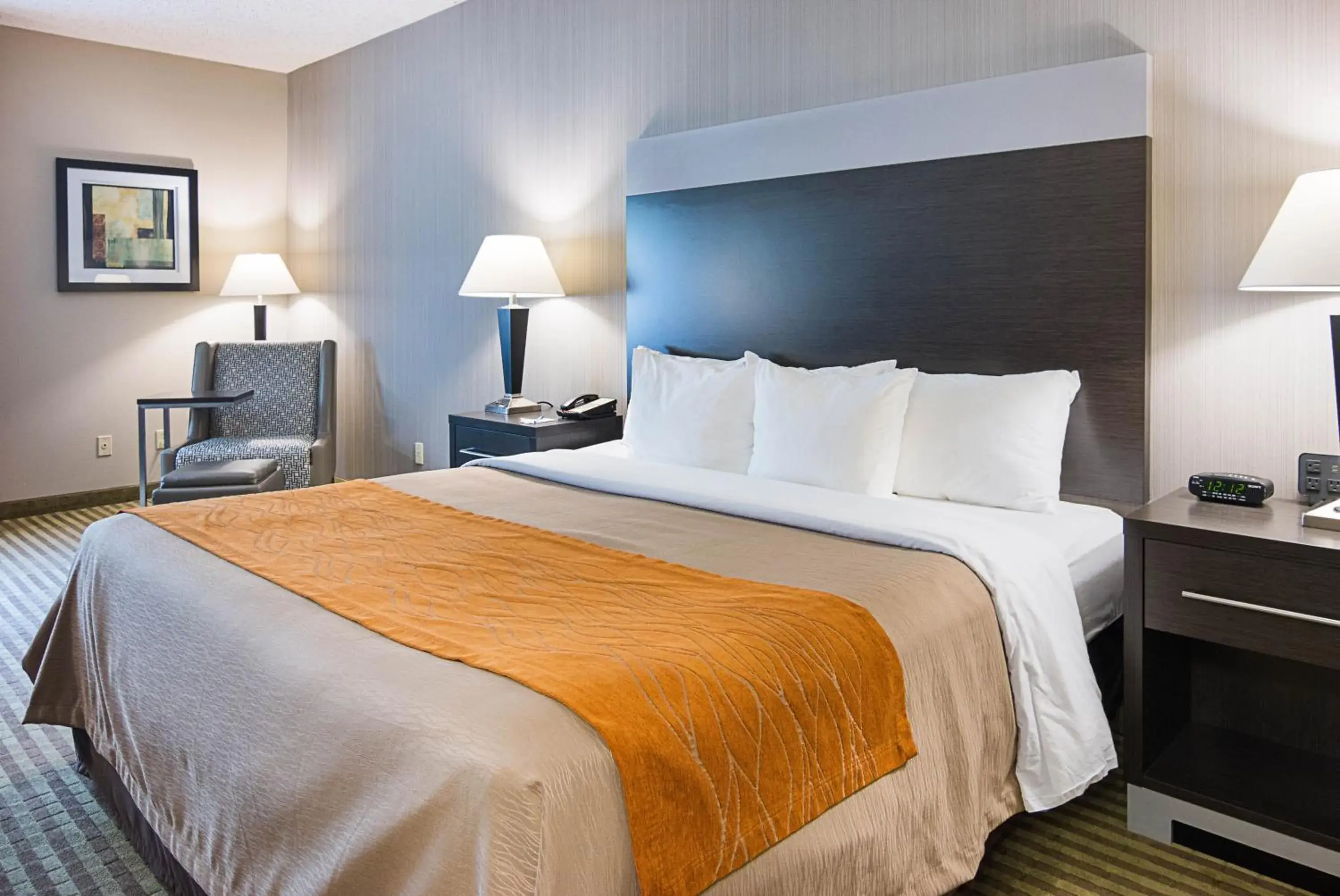 Bed in Comfort Inn Camden Bed in Comfort Inn Camden