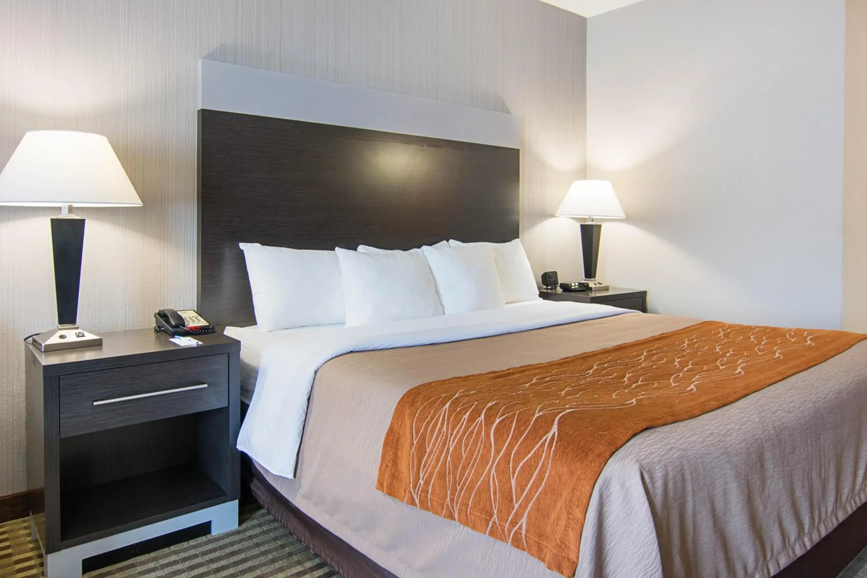 Bed in Comfort Inn Camden Bed in Comfort Inn Camden